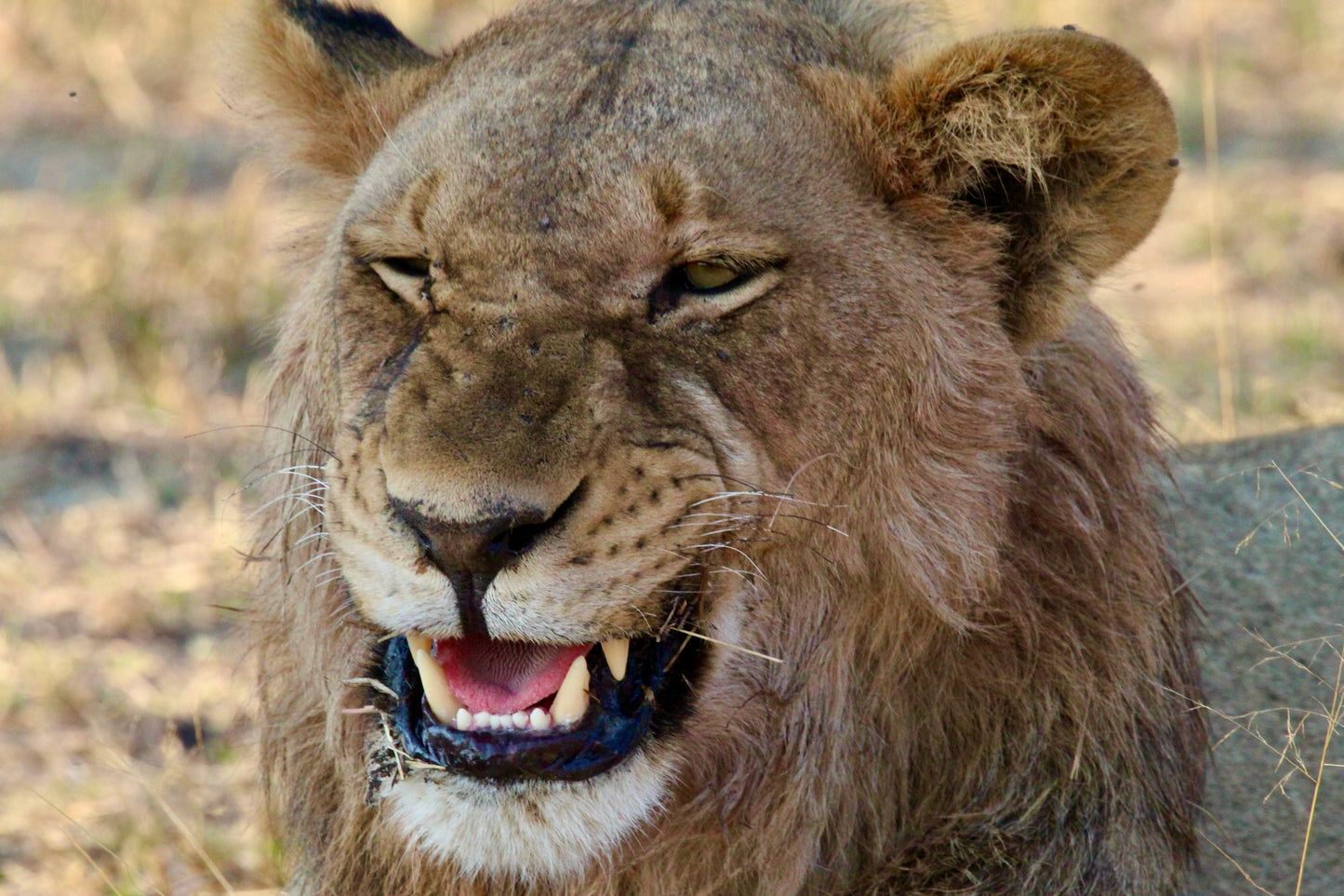 I'm laughing with you