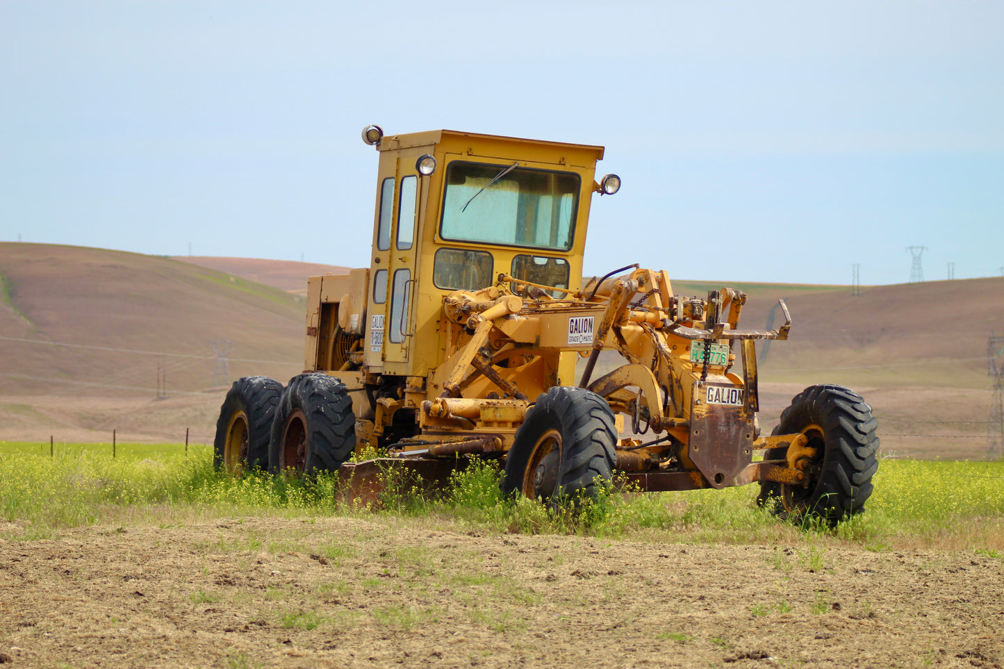 Outstanding in its Field