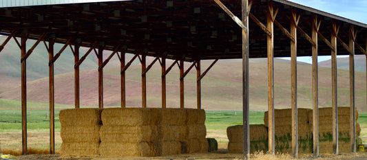 Hey Barn!